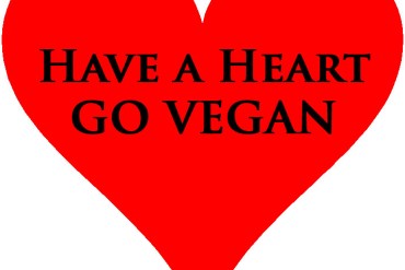 vegan, valentine, valentine's day, heart
