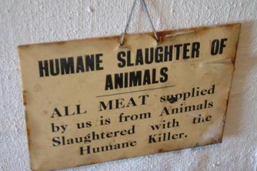 humane meat slaughter vegan veganism vegetarian vegetarianism