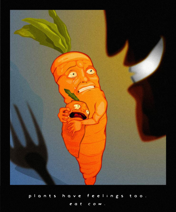 plants have feelings too, carrot, eating, plant sentience, pain, murder