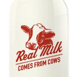 real milk comes from cows