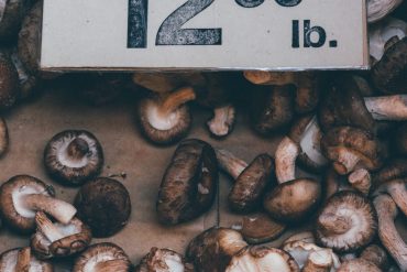 shiitake, mushroom, mushrooms, vegan choline, choline, vegan choline sources